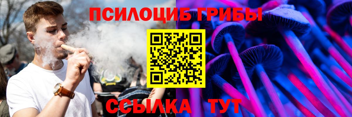Псилоцибиновые грибы мицелий Павловский Посад